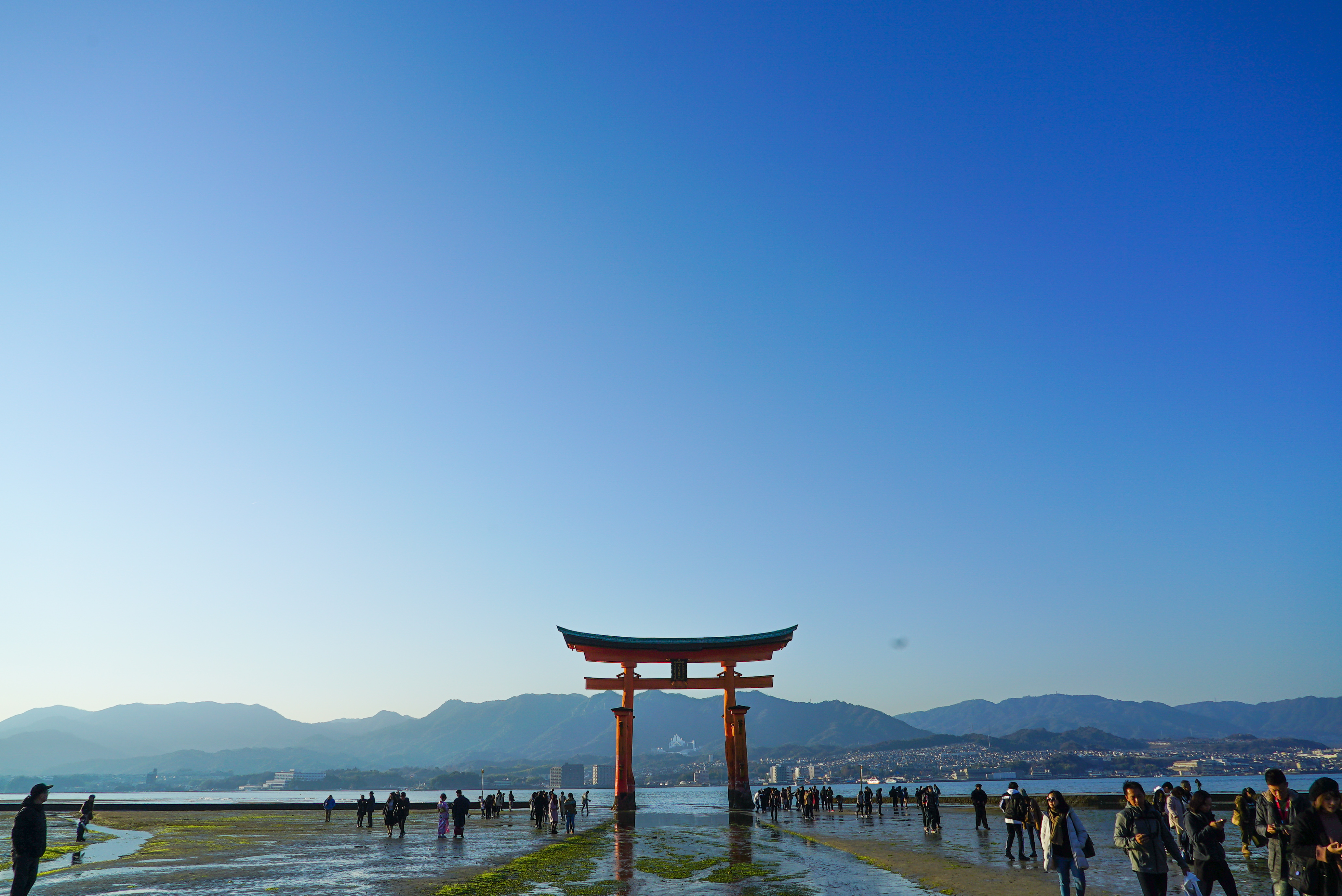 Miyajima 1-Day Hiking Tour in Hiroshima