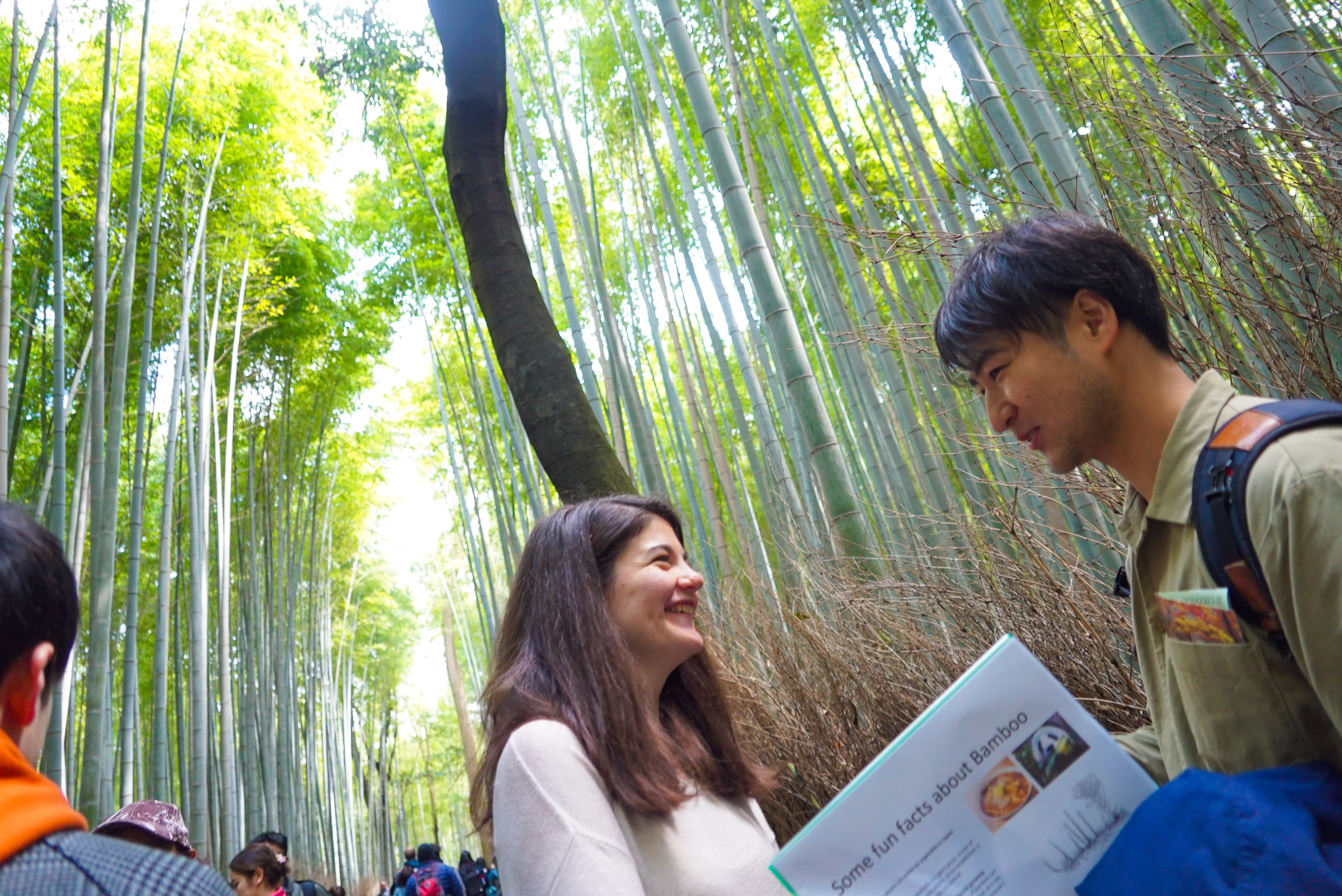 Kyoto Arashiyama Insider Walking Tour - Hidden gems of Arashiyama